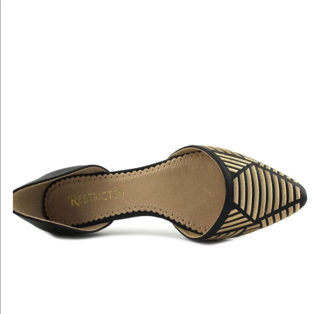 Pointed Toe Synthetic Black Flats